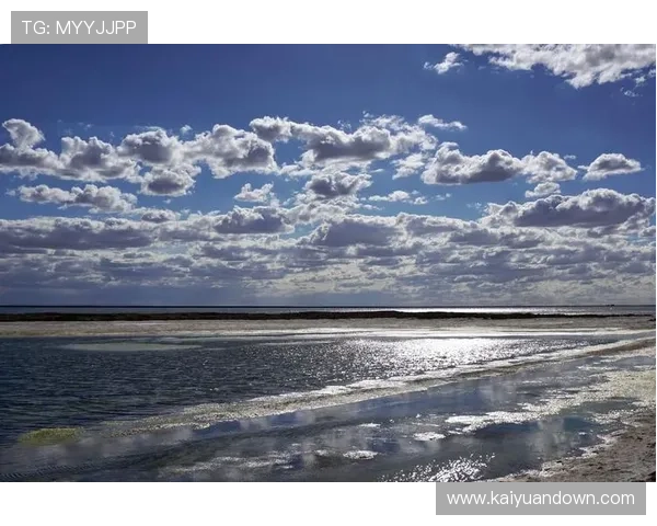 加入好望角线上娱乐,开启你的专属娱乐之旅,享受无限精彩内容 加入好望角线上娱乐,开启你的专属娱乐之旅,享受无限精彩内容