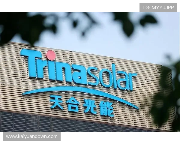 abg欧博平台代理最新政策解析助你快速掌握平台运营技巧